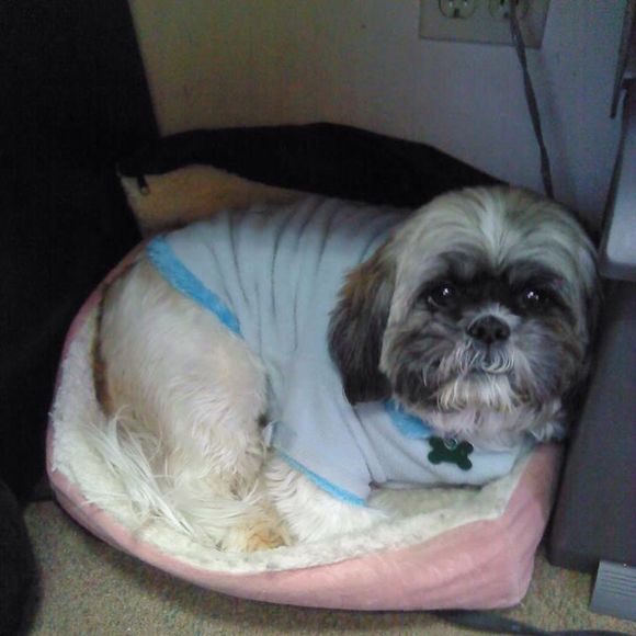 Meet your Posher, Andrew - Picture 1 of 1